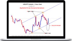 Forex GDP – Basic Forex Course