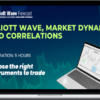 Elliott Wave Forecast – Elliott wave, Market Dynamic and Correlations