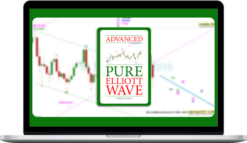 Lara Iriarte – Advanced Pure Elliott Wave Online Course