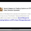TheoTrade – Secret Weapon to Trading Options on ETF’s Class