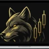 CSW Trades – WolfOfWebull Trading Bootcamp