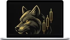 CSW Trades – WolfOfWebull Trading Bootcamp